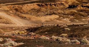 详解棒球规则中的“投手违例”定义及其对跑垒员进垒的补偿逻辑