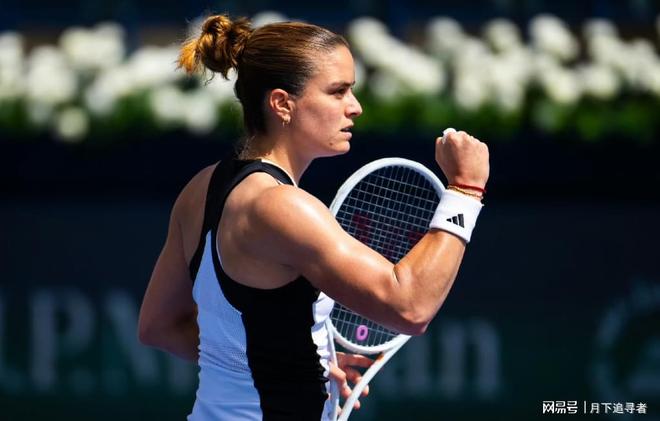 分助灰熊客 分助灰熊客